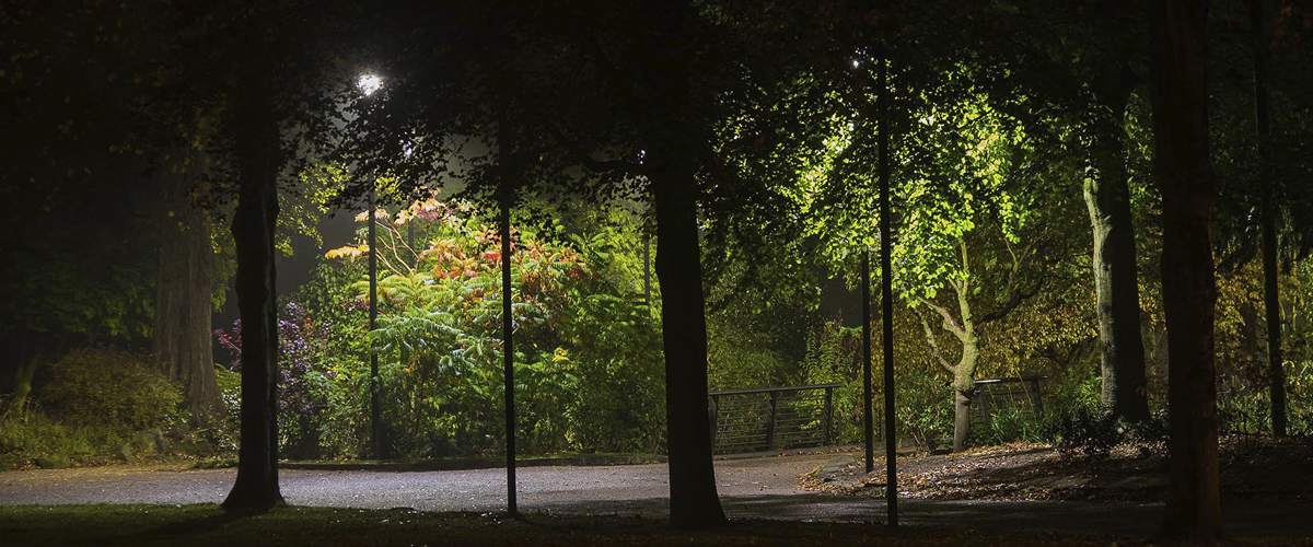 placeholder image-sq