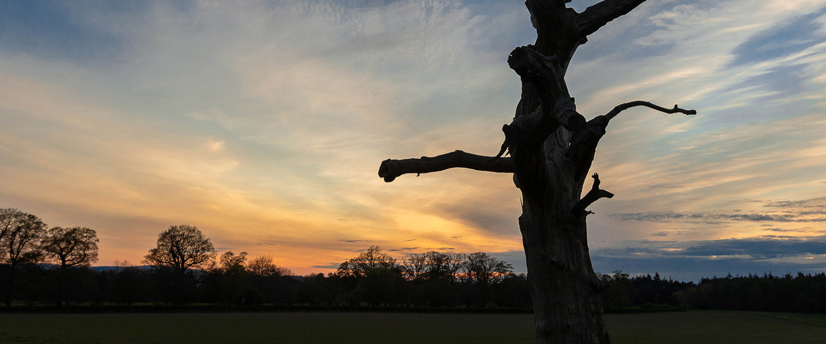 placeholder image-sq