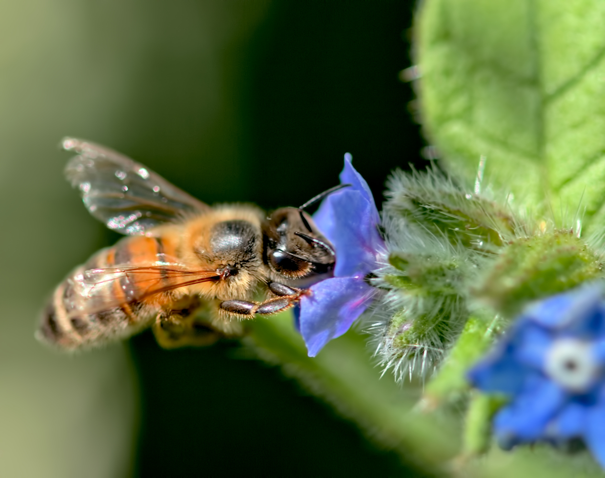 placeholder image-sq