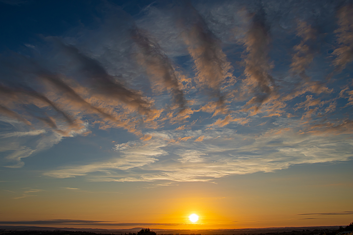 placeholder image-sq