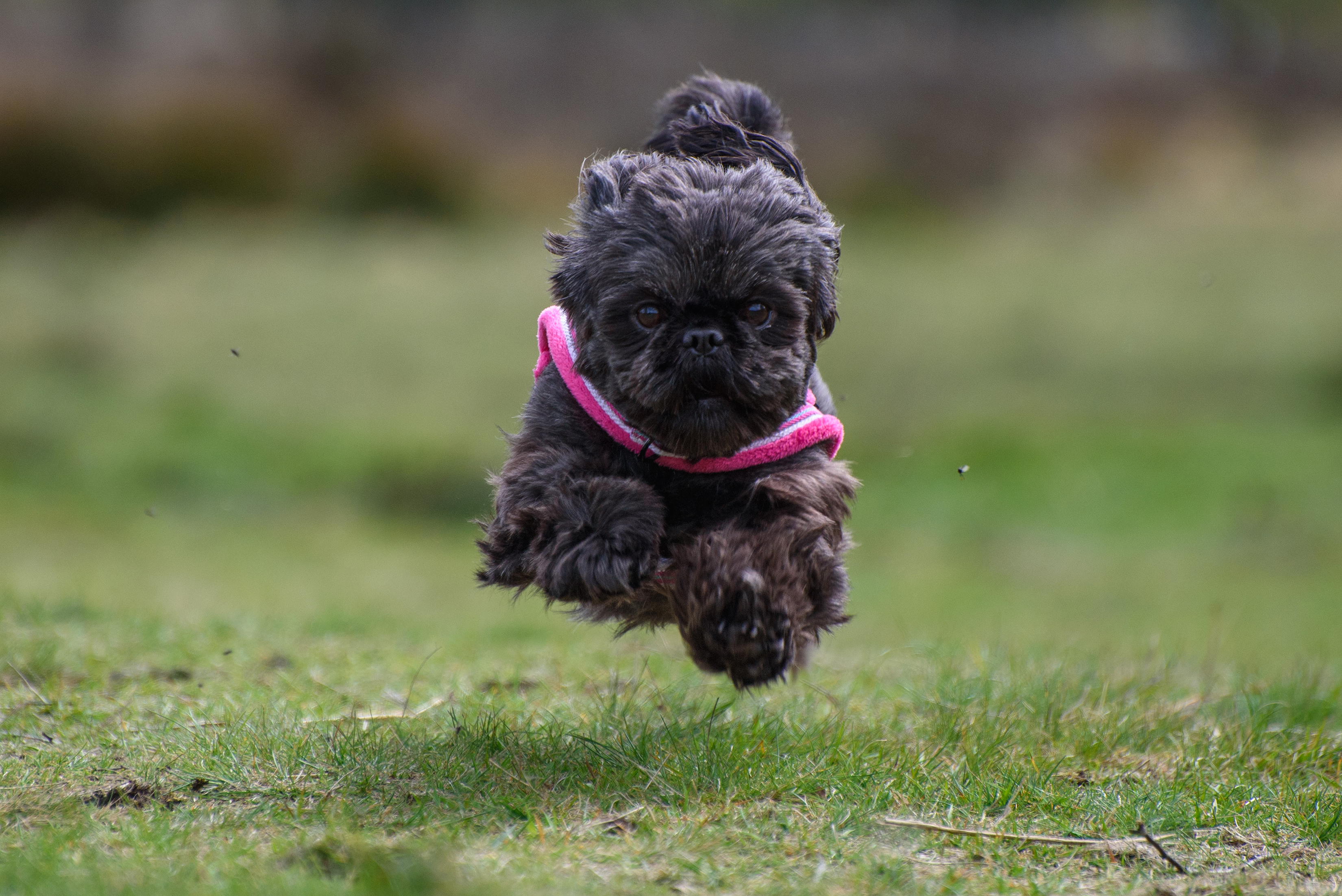 placeholder image-sq