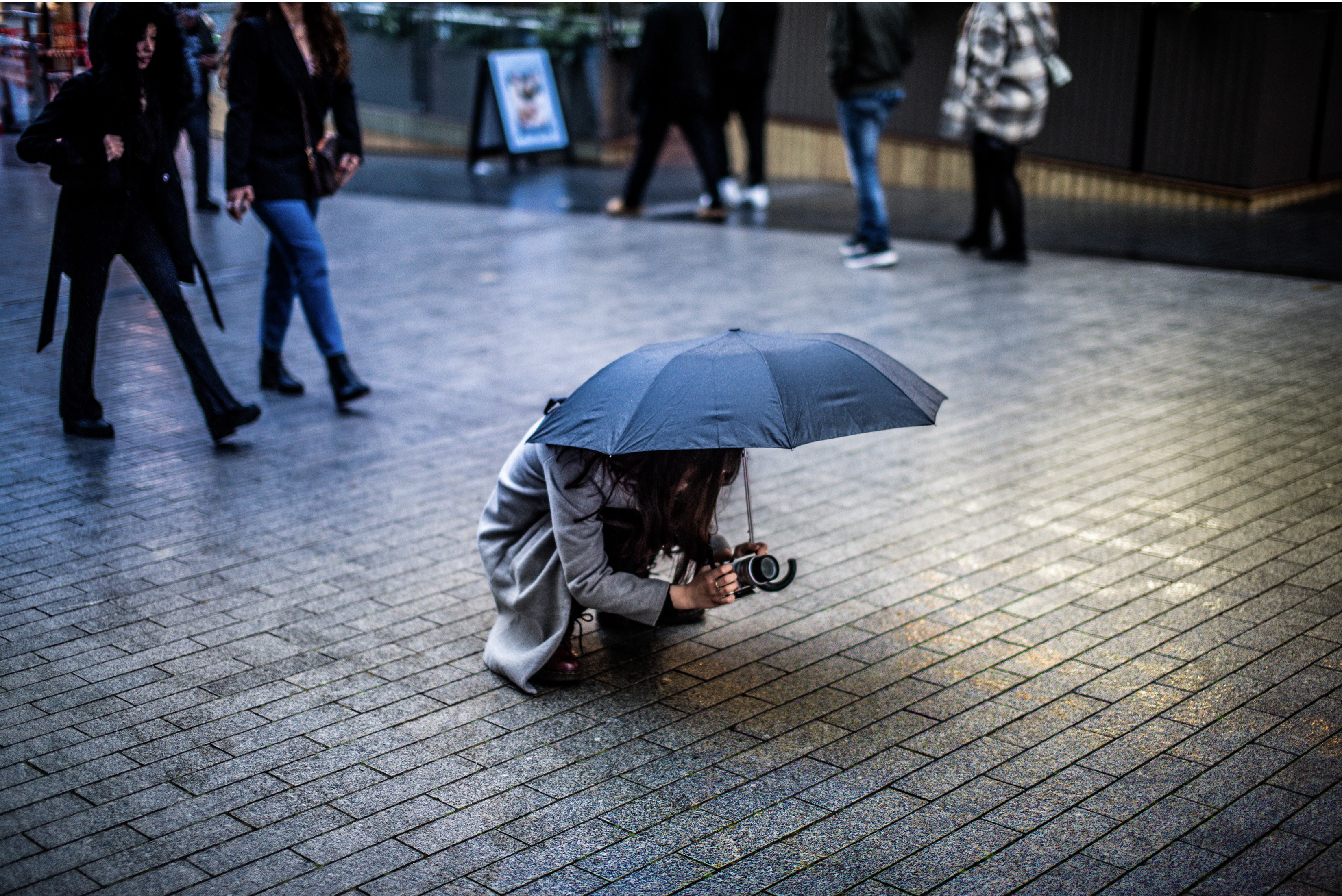 placeholder image-sq