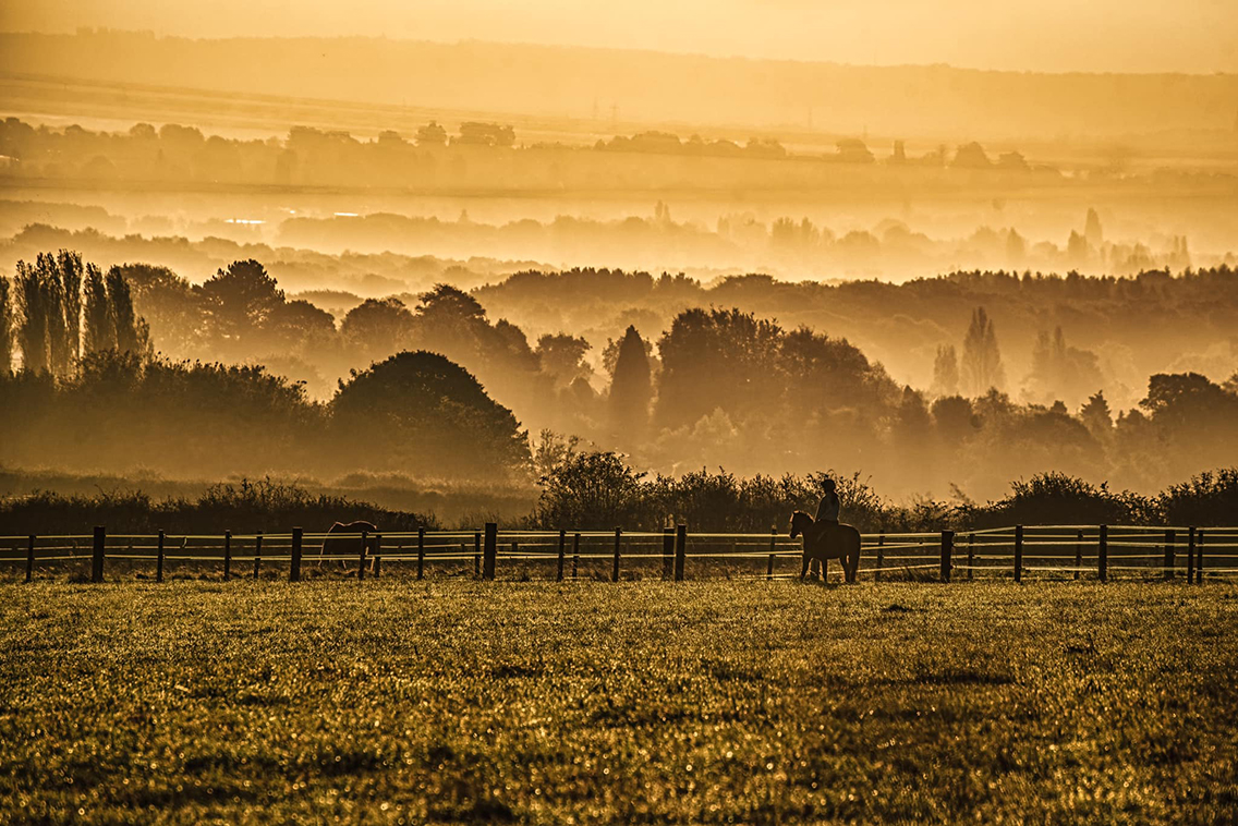 placeholder image-sq